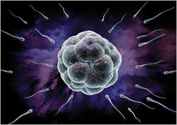 支招！试管婴儿中卵泡长不大怎么办？