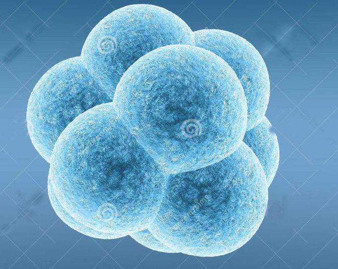 柬埔寨试管婴儿：为何要做激素检查？