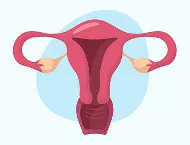 做试管婴儿真的可以避免宫外孕吗？