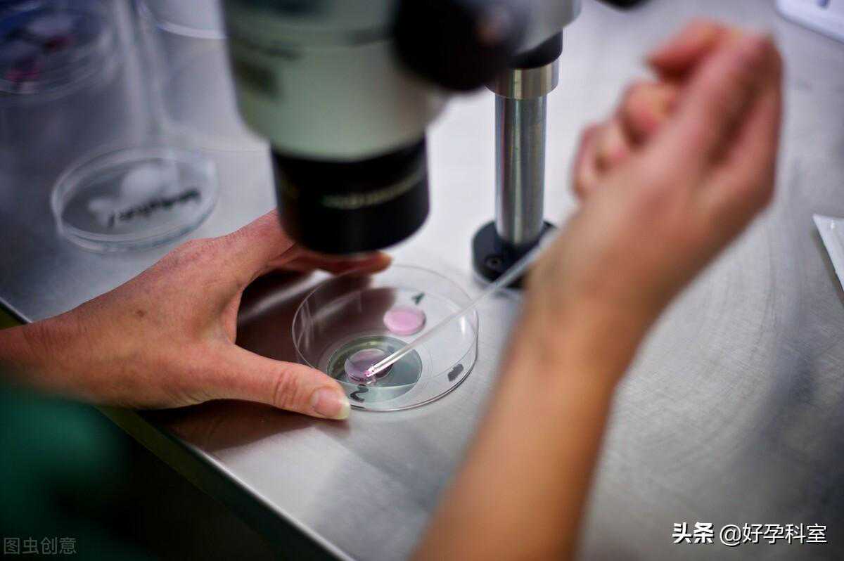 如何增加试管怀孕成功率？医：关键在胚胎等级