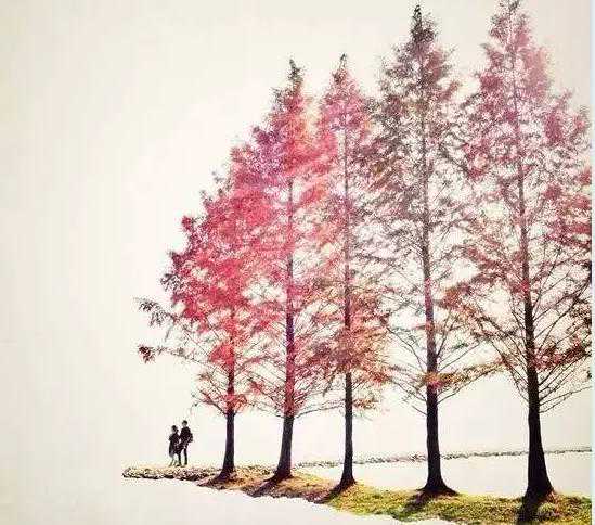 去泰国做试管婴儿的准备和流程,希望可以帮到你~ 去泰国做试管婴儿的准备和流程,希望可以帮到你~