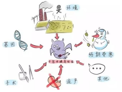 备孕两年多后，医生：只能尝试试管婴儿，因当初对痛经不重视