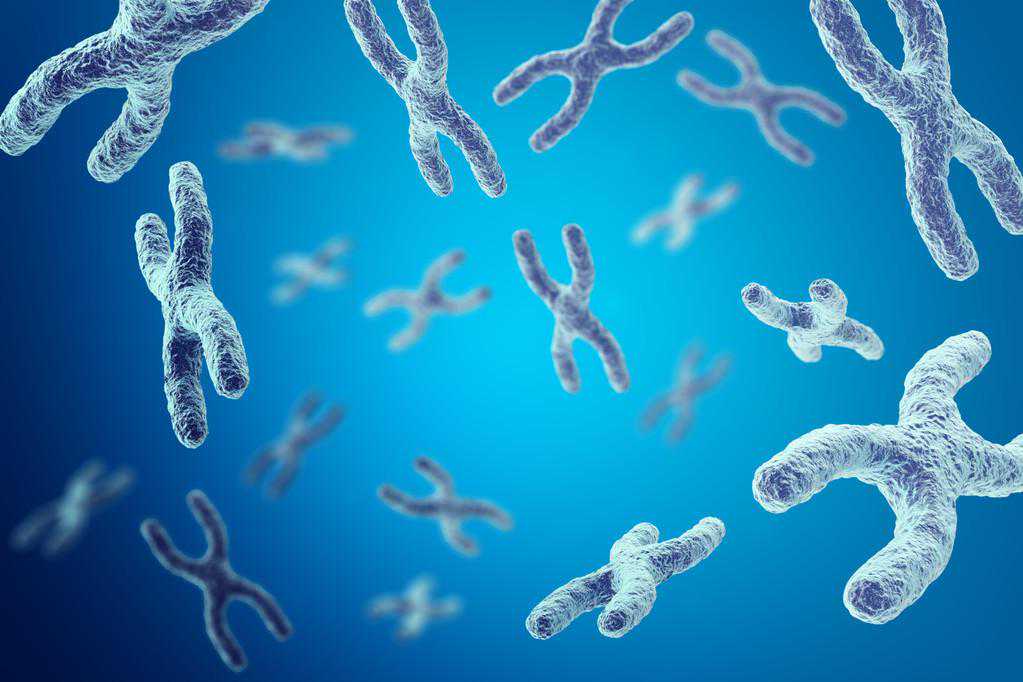 生男生女想自己决定？染色体有问题？有三代试管技术在通通不用怕