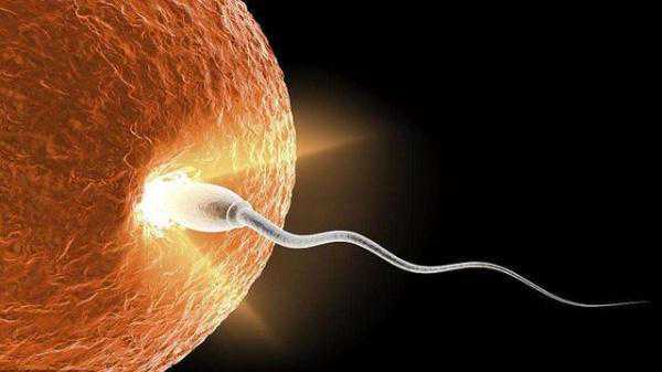 备孕并不是女人自己的事，负责任的男性会配合这些，你做到几个