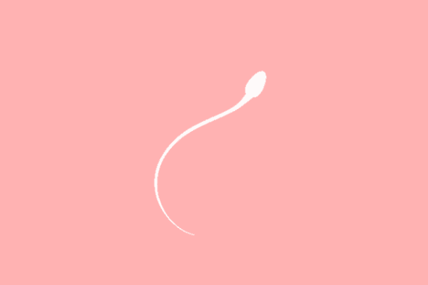 男人什么时候的精子质量高？掌握合理的受孕时间，备孕健康宝宝