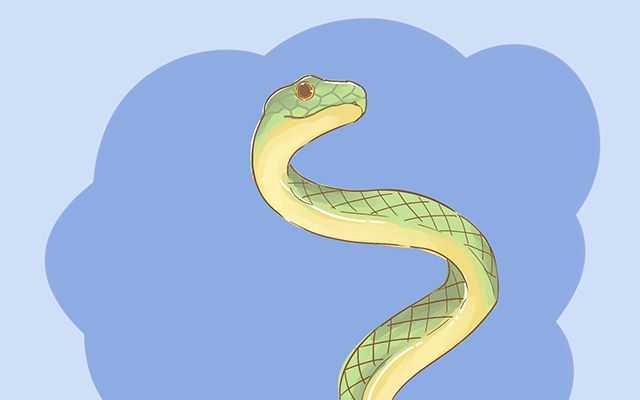 胎梦能暗示宝宝性别？孕妈来看准不准