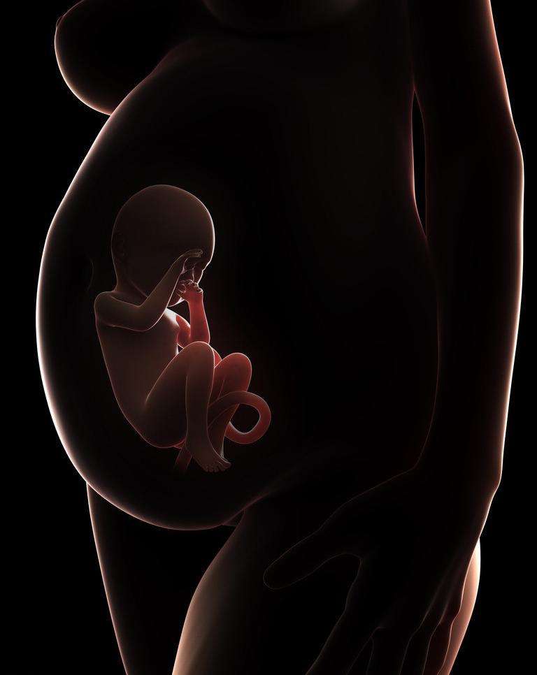 怀孕真的会做胎梦？做过胎梦的妈妈们都来说一说胎梦的神奇