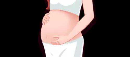 孕期做Nt、大排畸、小排畸都花了多久的时间呢