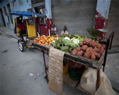 人工受精需要哪些条件